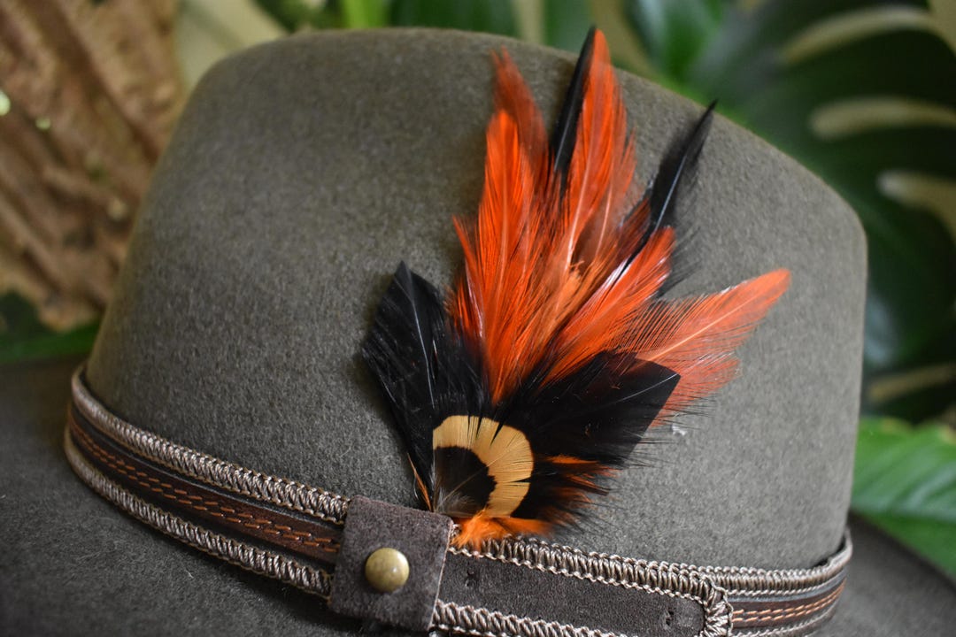 Western Hat Feathers: Orange Brown Feather Accessory, Unisex  display picture 3