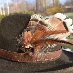 Mens Fedora Hat Feather 