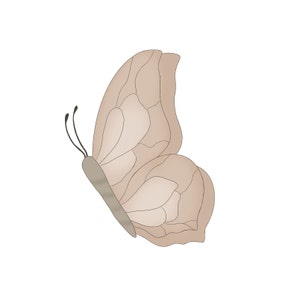 Butterfly No.3 Cookie Cutter