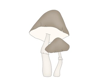 Tall Mushroom Cluster No.1
