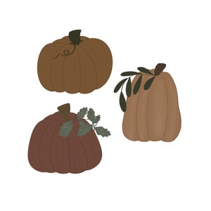 Herbst Kürbis Ausstecher