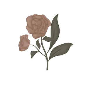 May include: A single stem with two brown flowers and green leaves. The flowers have a soft, rounded shape.