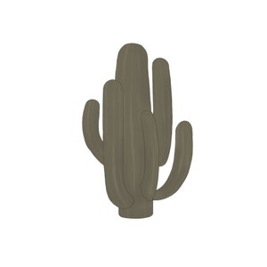 Saguaro Cactus