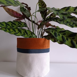 Peut inclure: Un pot en corde blanc, bleu et orange avec une plante verte à feuilles à l'intérieur. Le pot est fait de corde épaisse et présente un motif rayé.