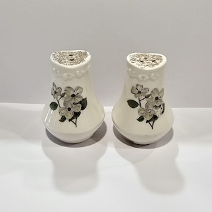 Collectible Hand Painted Porcelain Vintage Collectible Floral Salt And Pepper Shakers Antique Aesthetic Striking Old