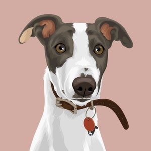 Customized Cartoon Pet Portrait ,Digital download ,pet portrait ,pet illustration, pet drawing