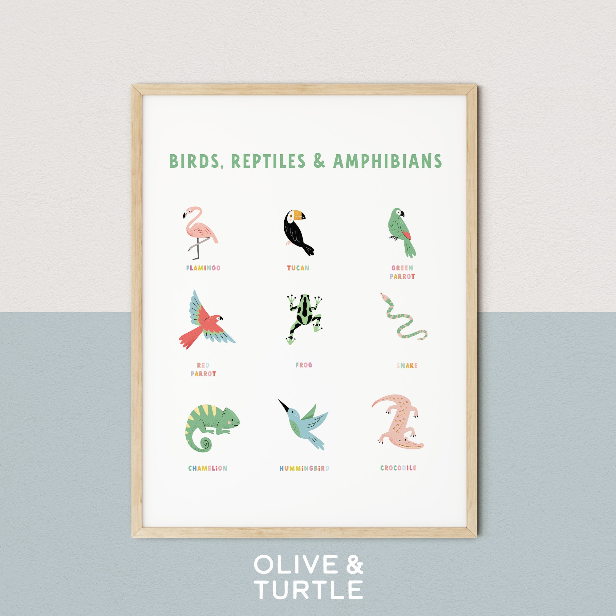Birds, Reptiles and Amphibians colourful kids print | fun kids print | educational poster | animal art poster