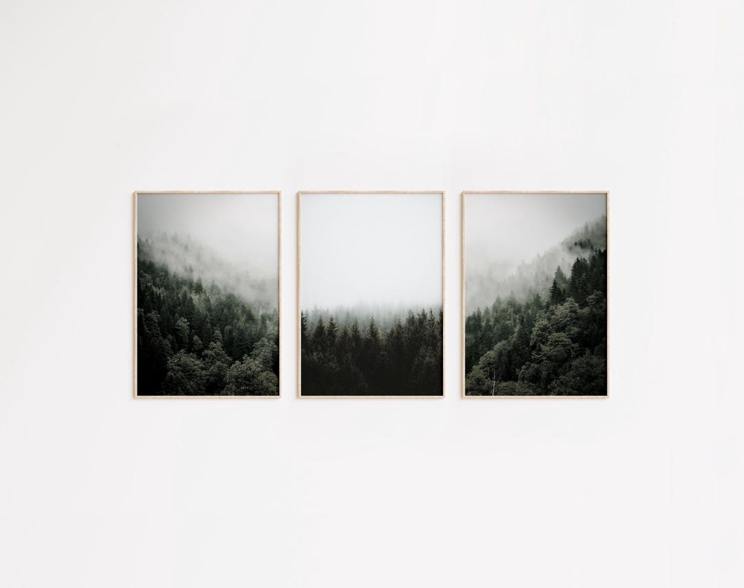Foggy Forest Set of 3 Digital Prints, Misty Forest Prints, Nature ...