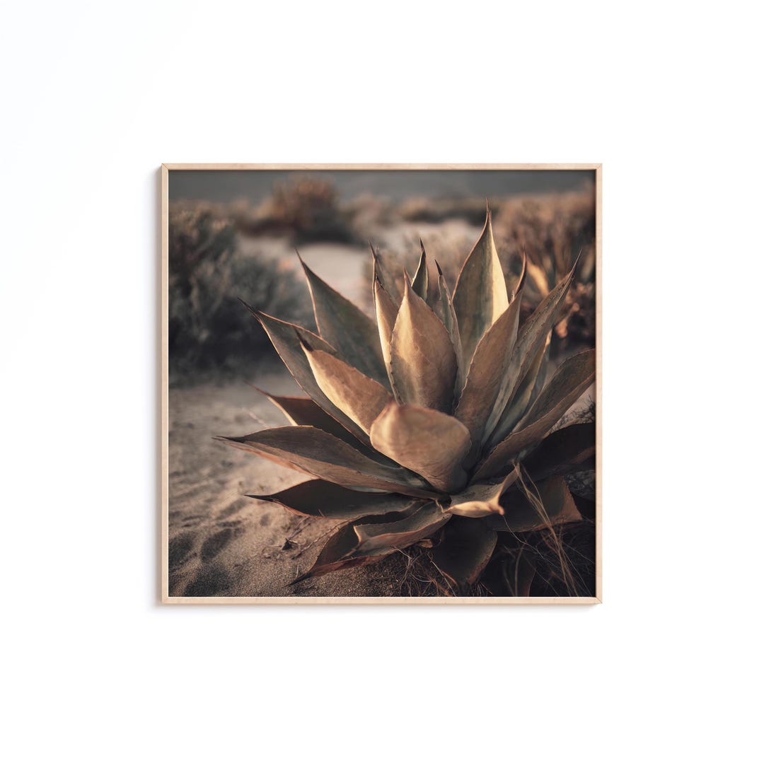 Desert Agave Digital Print, Neutral Square Botanical Wall Art ...