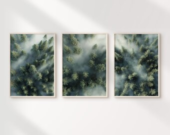 Aerial Foggy Forest Set of 3 Prints, Foggy Forest Art, Aerial Forest Wall Art, Pine Forest Print, Rustic Wall Art, Pine Trees, Woods Nature