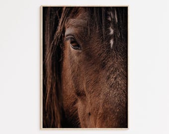 南西部の野生馬のポートレート、西部写真スタイルの印刷物、ニュートラルで素朴な壁アート、モダンな馬のデジタル装飾、乗馬写真
