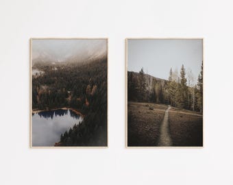May include: Two framed landscape prints. One features a lake surrounded by a forest, with a mountain range in the background. The other shows a path winding through a field and trees. Both have wooden frames.