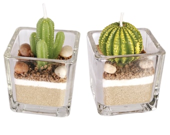 2 Piece Decorative Cactus Plant Candle Tea Light Candles In Glass Home Decor