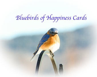 Bluebird Greeting Cards
