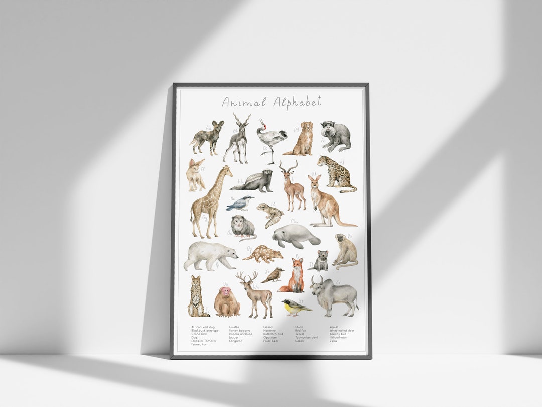 Animal Alphabet Poster Educational Kids Wall Art, ABC Learning With ...