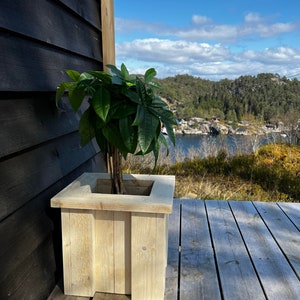 Planter Box DIY Plan