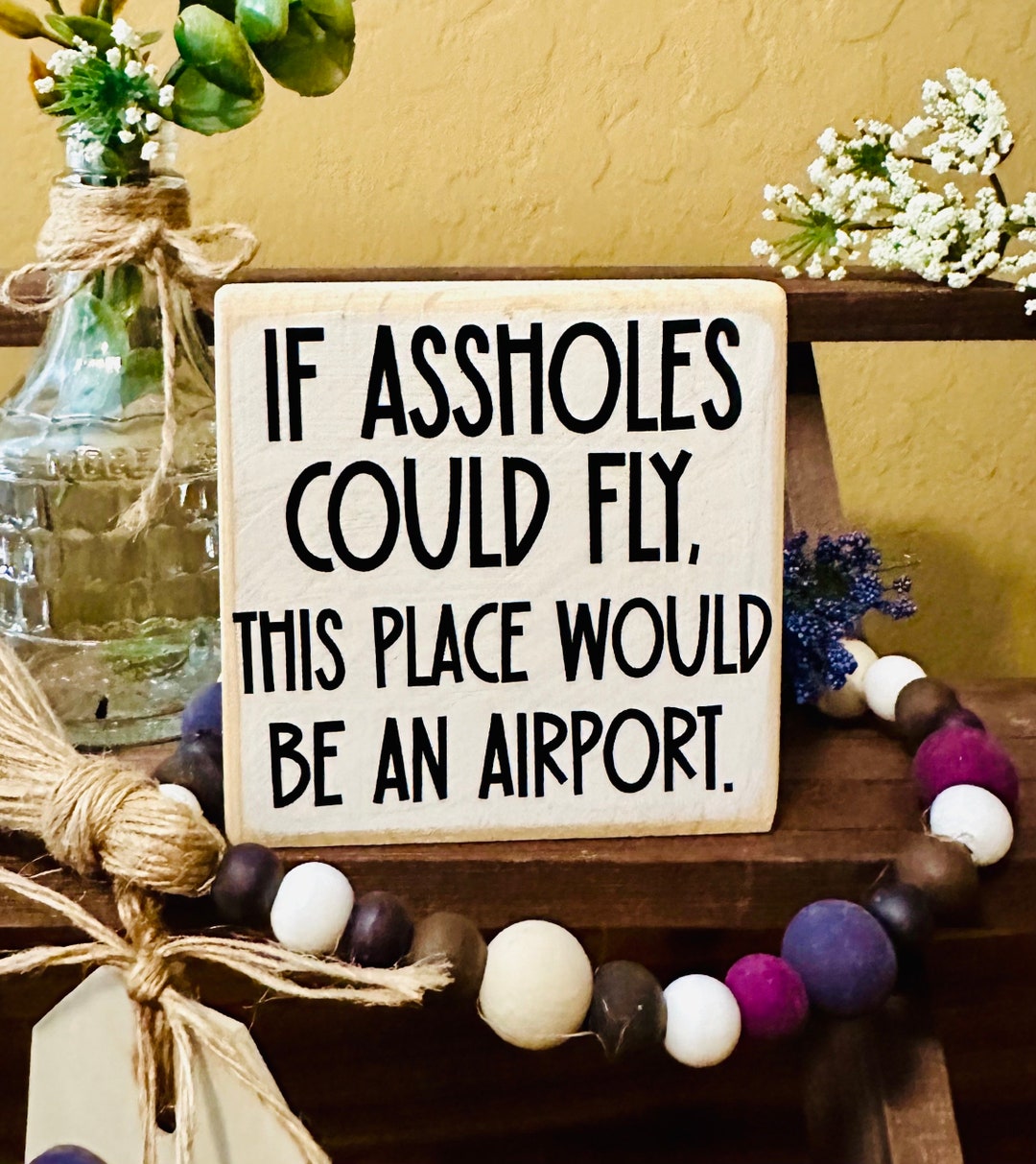 Cartello Metallo Umoristico If Assholes Could Fly This Place Would Be An Airport – Decorazione Da Parete 20x30 Cm Per Garage, Bar, Uomo - 3