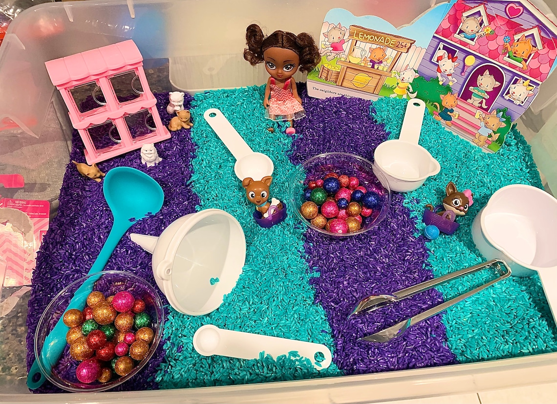 Gabby's Dollhouse Sensory Bin Etsy Canada