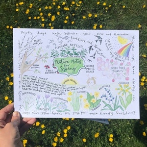 A4 PRINT - Spring ‘Nature Notes’ | become a wildlife detective with this hand painted watercolour A4 sheet; Signs of Spring spotter resource