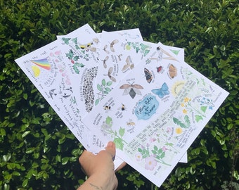 以下が含まれることがあります： 自然をテーマにした絵とテキストが描かれたイラストカードが5枚。カードには、鳥、花、蜂、蝶、葉など、さまざまな自然の要素が描かれています。カードのテキストには、「夏の自然ノート」や「少しの間見て、それから花を咲かせましょう」などのフレーズが含まれています。