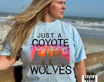 Little Crazy But The World is Insane PNG: Sublimation & DTF Design (Digital Download