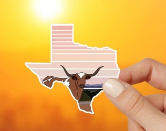 Texas State Sticker, Longhorn Cow Sticker, Lone Star State Sticker Vinyl, Cow Sticker, Texas Longhorns Stickers, Texas Decal, Tejas Sticker