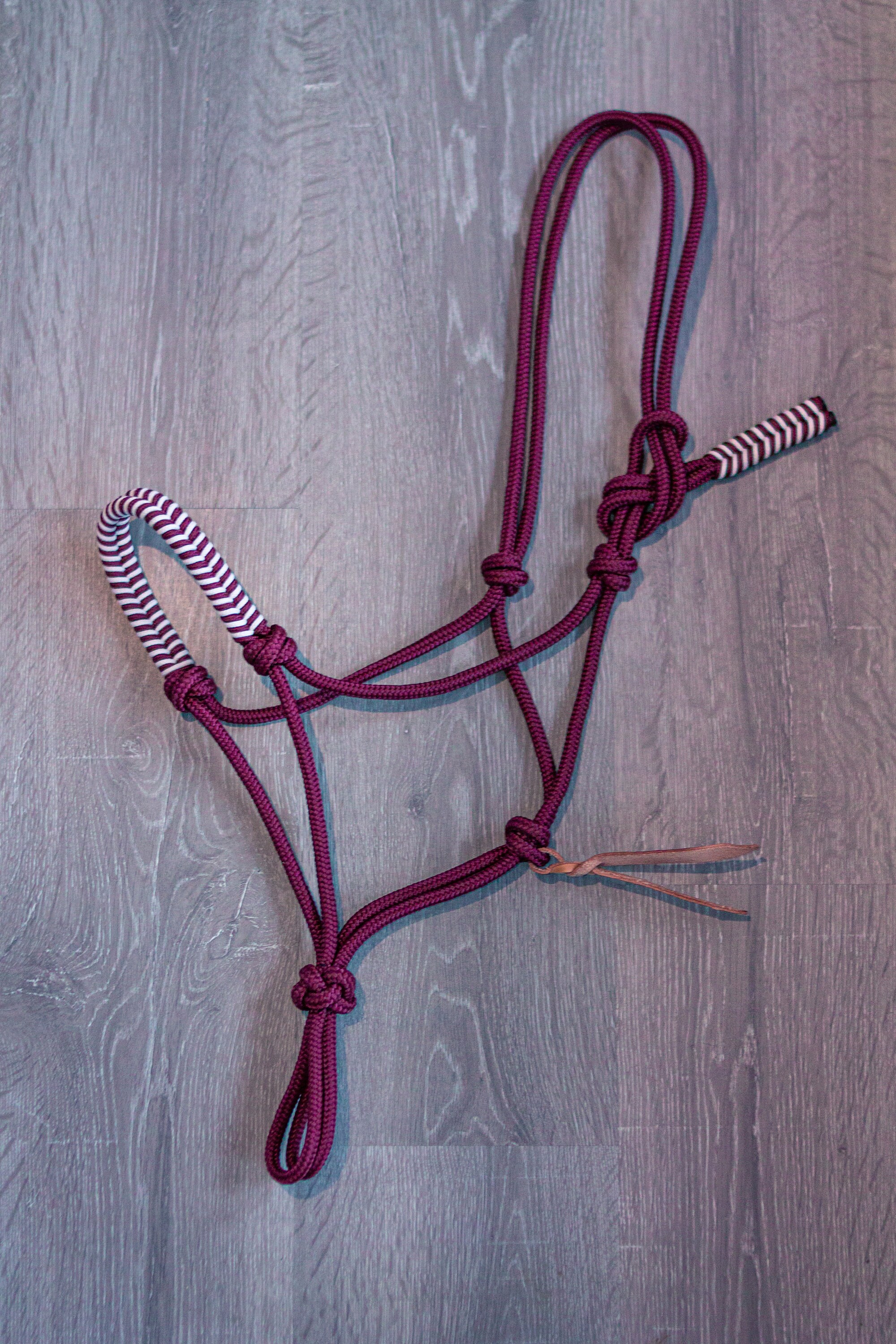 Möwe - Licol Éthologique Tressé Personnalisé