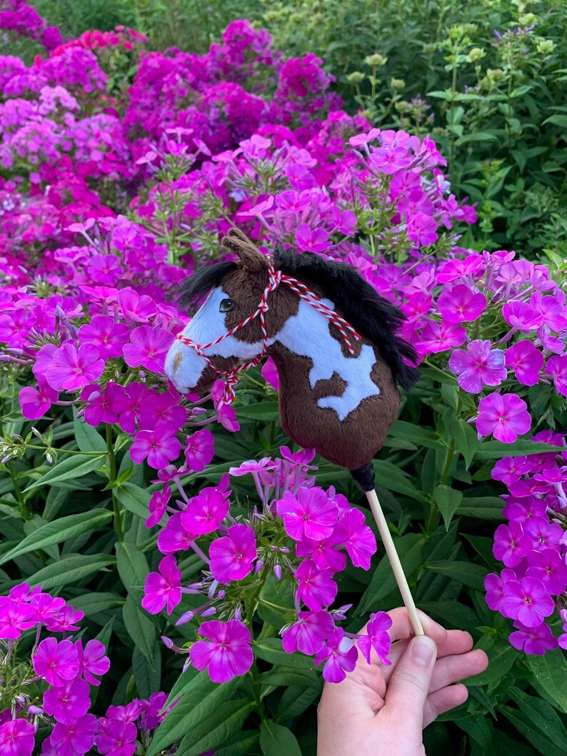 Mini Custom Hobby Horse Etsy