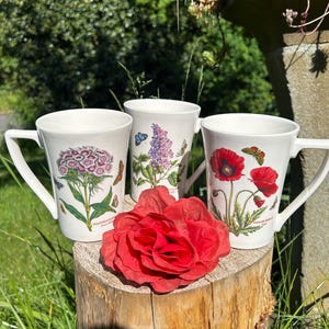 PORTMEIRION Botanischer Garten Kollektion Tassen | Mohn, Gartenflieder, Sweet William | Ausgezeichneter Zustand | Vintage Blumen Dekor