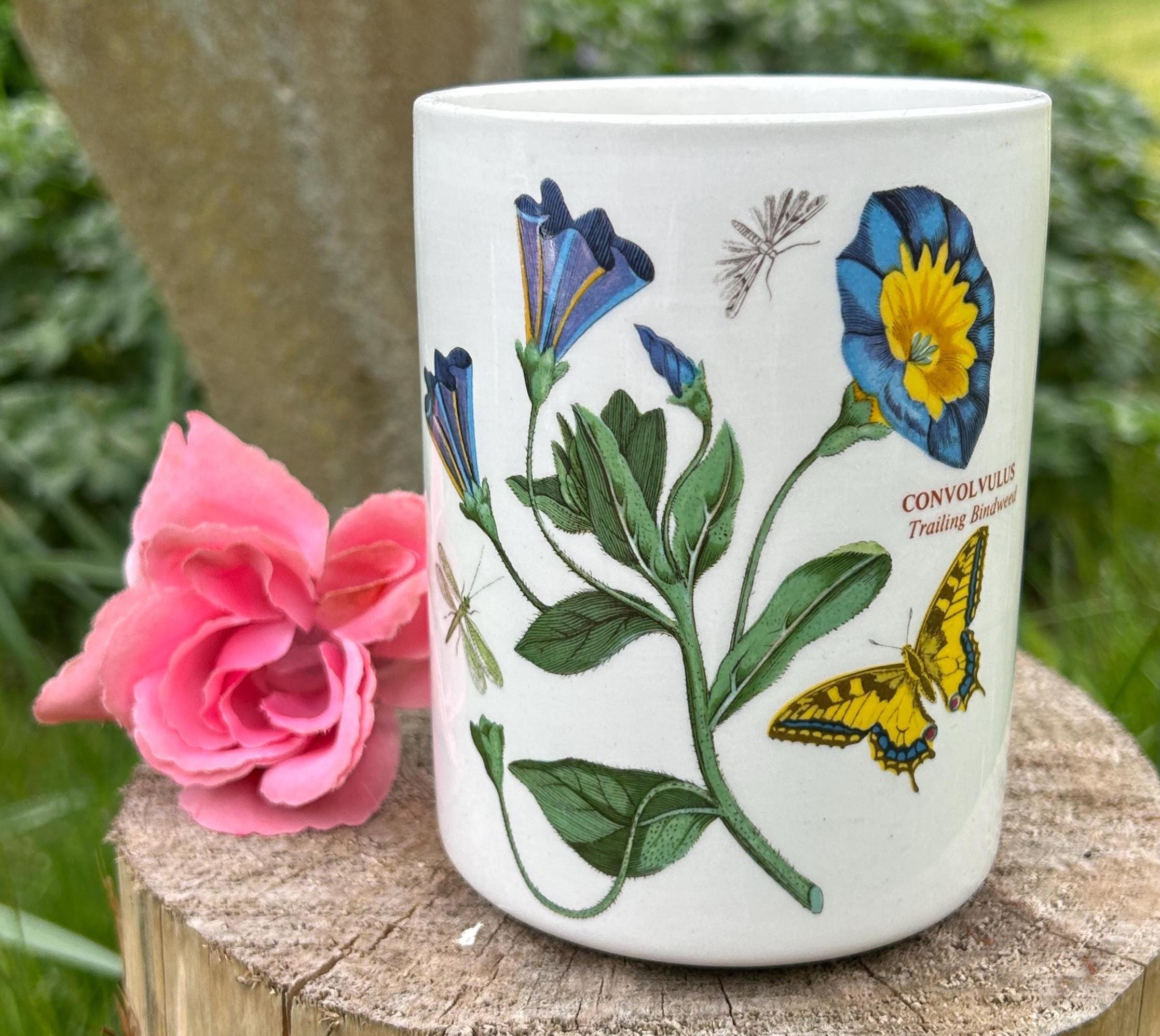 Portmeirion Botanic Garden Collection Plant Pot |  Trailing Bindweed (Convolvulus) | 1970s, Excellent Condition | Medium Utensil Pot or Jar