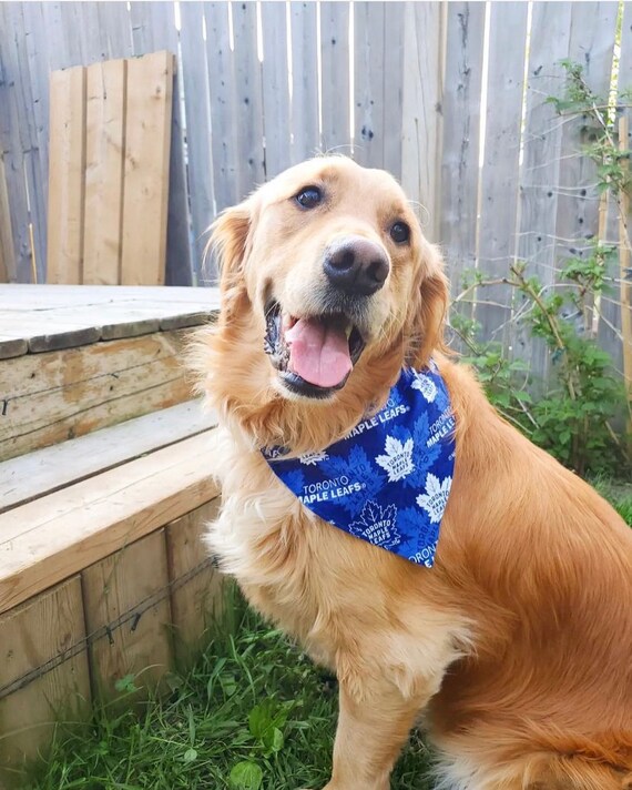 Toronto maple hotsell leafs bandana