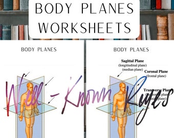 Body Planes Digital Worksheet, Frontal, Transverse, Sagittal Planes, Anatomy & Physiology Worksheets for Studying, Practice Sheets