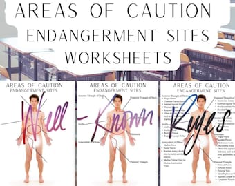 Areas of Caution, Endangerment Sites for Massage Therapy Students Digital Worksheet, Practice Worksheets for the MBLEx,