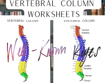 Vertebral Column Digital Worksheets, Practice Labeling the Vertebrae, Cervical, Throacic, Lumbar, Practice Sheets,