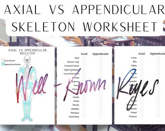 Axial Vs Appendicular Skeleton Worksheet, Anatomy & Physiology, Skeletal System, Axial Skeleton, Appendicular Skeleton,