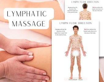 Lymphatic Flow Direction Chart, Lymphatic Drainage Massage Map, Lymph Flow Chart, Lymphatic System, Massage Therapy,