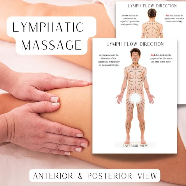 Lymphatic Flow Direction Chart, Lymphatic Drainage Massage Map, Lymph Flow Chart, Lymphatic System, Massage Therapy,