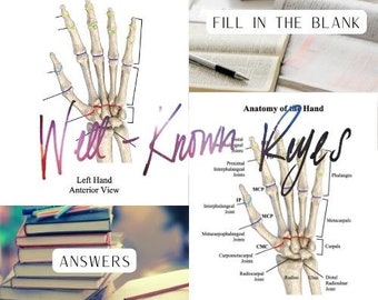 Anatomy of the Hand Worksheet, Study Guide, Bones, Joints, Anterior View, Lateral View, Digital Worksheet and Study Guide, MBLEx Review