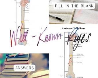 Anatomy of the Long Bones, Skeletal System Study Guide, DIgital Worksheet, MBLEx Review,