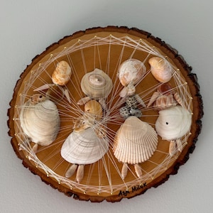 May include: A wooden circle with a string web design, featuring various seashells arranged in a circular pattern. The shells are connected by string and have a whimsical, folk art aesthetic. The words "Asja Miluk" are written in black ink on the wood.