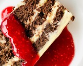 Double Chocolate Raspberry Cake Recipe, Printable PDF