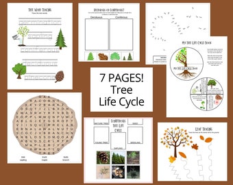 Arbre imprimable, activités d'automne pour les enfants, imprimables d'automne, feuilles de travail de la maternelle, livre d'activités pour tout-petits, feuille de travail du cycle de vie de l'arbre