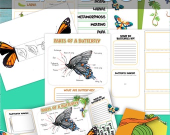 Papillon Lapbook, Feuille de travail sur l'environnement, Papillon imprimable, Nature imprimable, Printables de printemps, Cycle de vie des papillons, Feuille de travail du Jour de la Terre