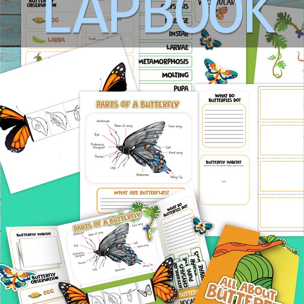 Papillon Lapbook, Feuille de travail sur l'environnement, Papillon imprimable, Nature imprimable, Printables de printemps, Cycle de vie des papillons, Feuille de travail du Jour de la Terre