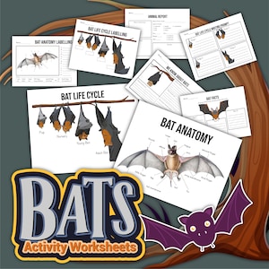 Fledermaus druckbar, Fledermaus Einheit Studie, Fledermaus Natur Studie, Natur Studie, Wissenschaft, Homeschool Herbst Aktivität, Fledermaus Mini Einheit Studie, Wissenschaft druckbar,