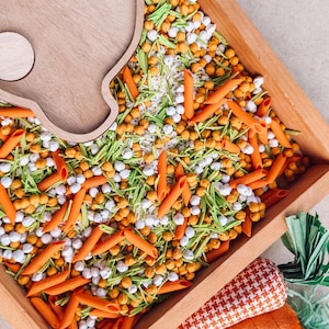 May include: A wooden sensory bin filled with orange penne pasta, chickpeas, and green and white decorative elements. A wooden shape and a toy carrot are also present, suggesting a playful theme.