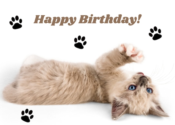 Happy Birthday Kitten Printable Postcard Free E-card - Etsy UK