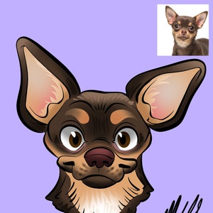 Pet Caricature