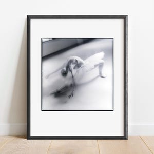 Ballet No. 2, Swan Lake. Vintage Black and White Film Fine Art Photography Print, Wall Art Photo Prints.