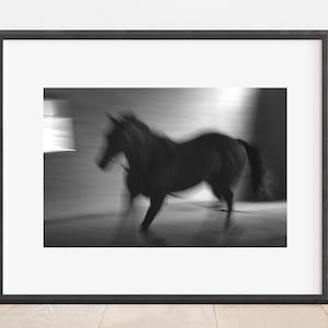 Dreamy Horse Blur, California. Fine Art Black and White Film Photography Print, Wall Art Photo Prints.